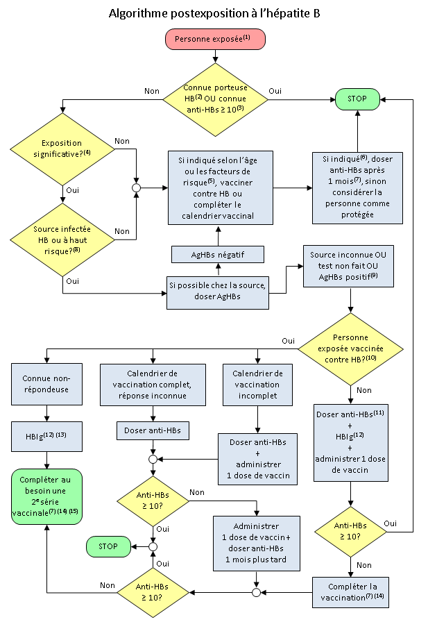 L'image présente un algorithme d'aide à la décision pour la prophylaxie postexposition à l'hépatite B (vaccin et immunoglobulines).